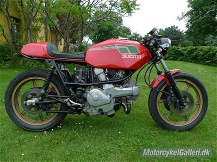 Ducati Pantah 600 caferacer billede 1