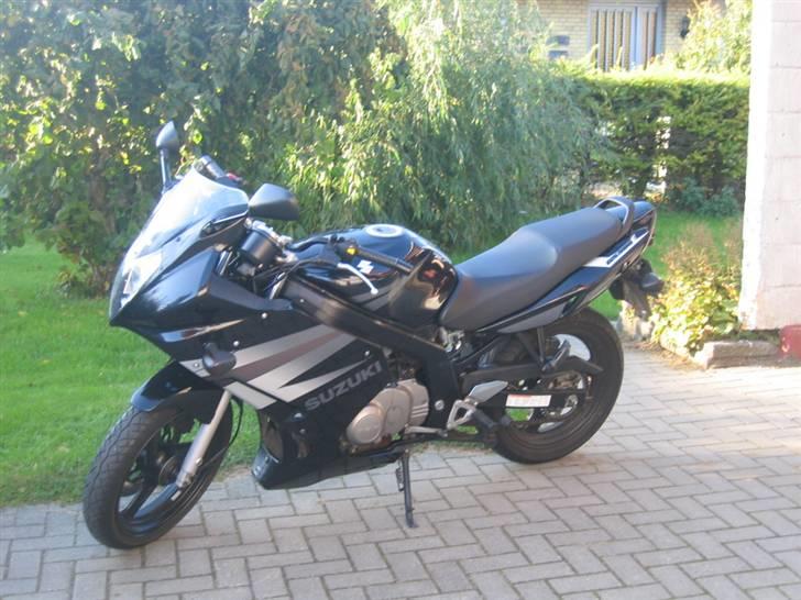 Suzuki GS 500 F billede 1