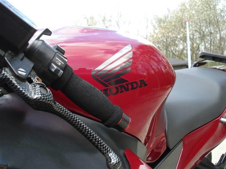 Honda cbr 1100 xx blackbird billede 11