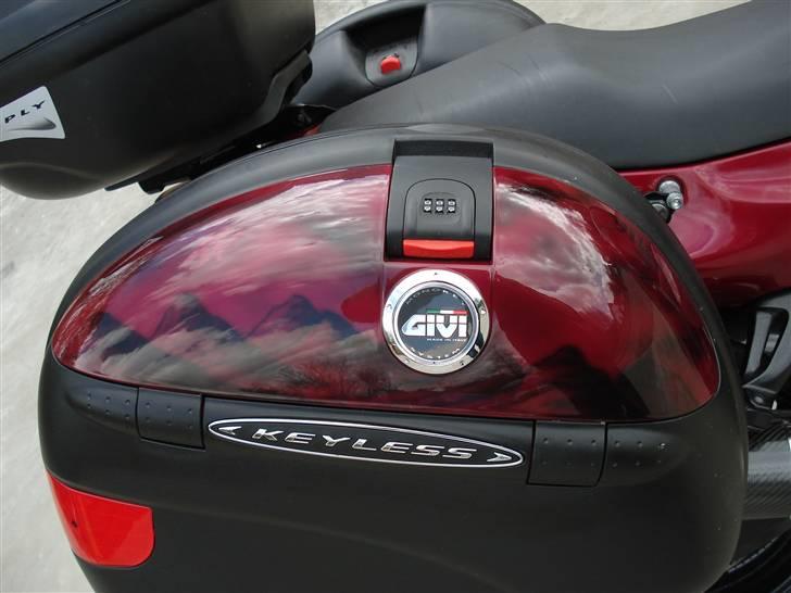 Honda cbr 1100 xx blackbird - indfarvede låg med airbrush motiv billede 16