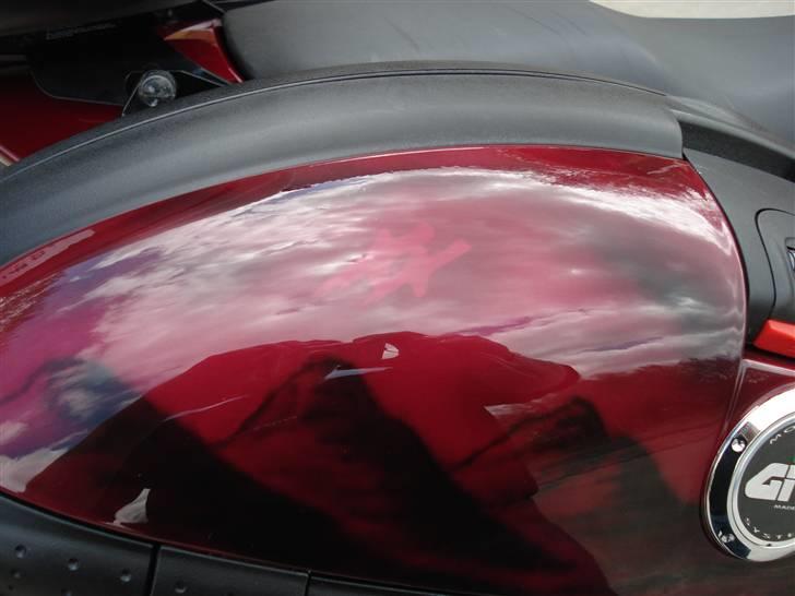 Honda cbr 1100 xx blackbird billede 17