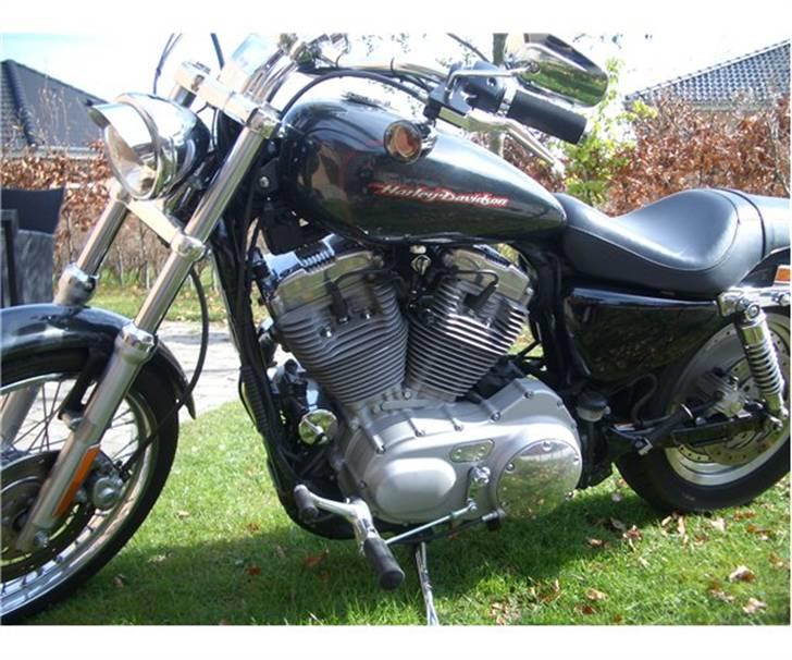 Harley Davidson XL 53 Custom, SOLGT billede 1