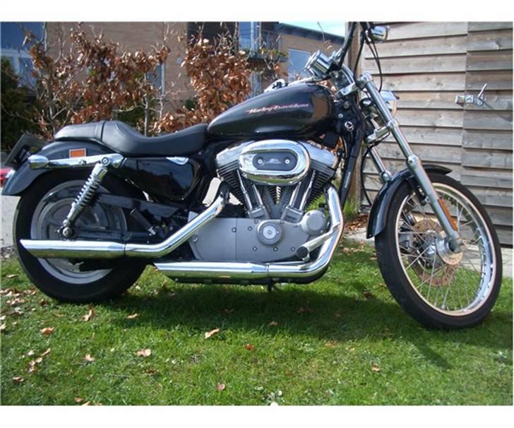 Harley Davidson XL 53 Custom, SOLGT billede 3