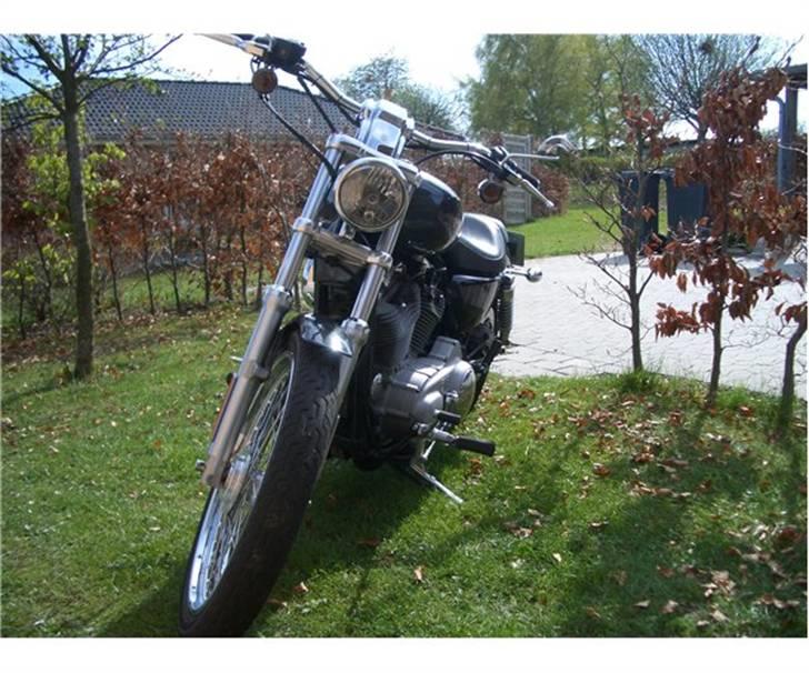 Harley Davidson XL 53 Custom, SOLGT billede 5