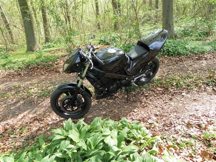 Honda NTV 650 Revere billede 3