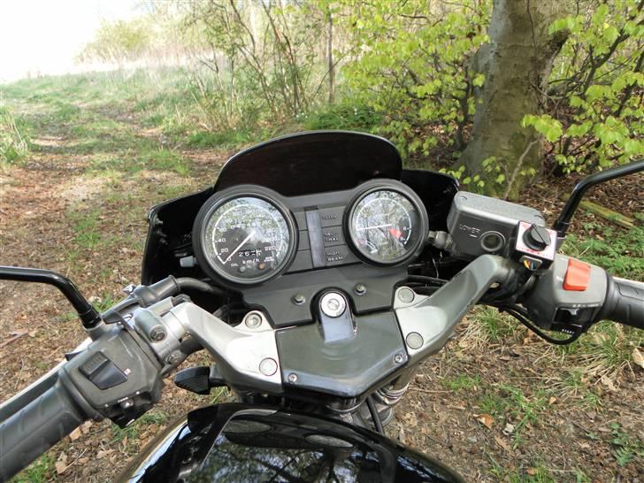 Honda NTV 650 Revere billede 5