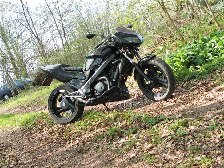 Honda NTV 650 Revere billede 7