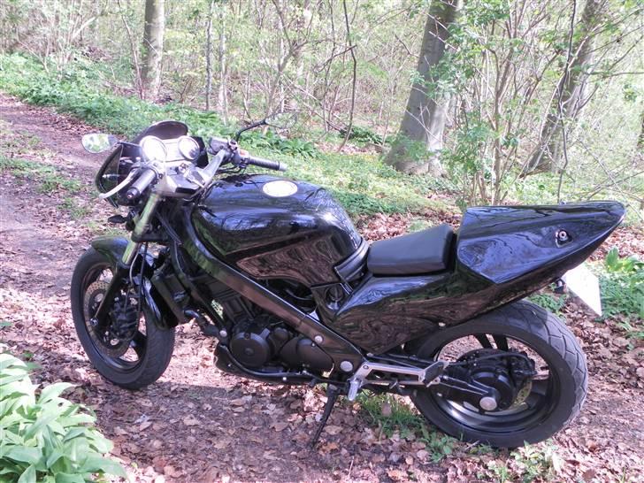 Honda NTV 650 Revere billede 8