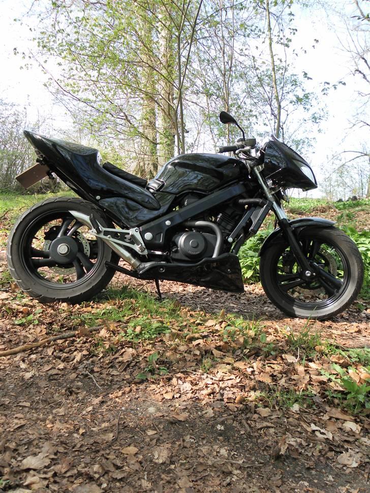 Honda NTV 650 Revere billede 9