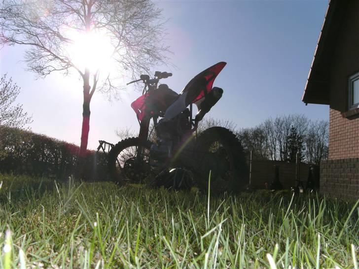 Honda 150ccm (Tilsalg byd) billede 20