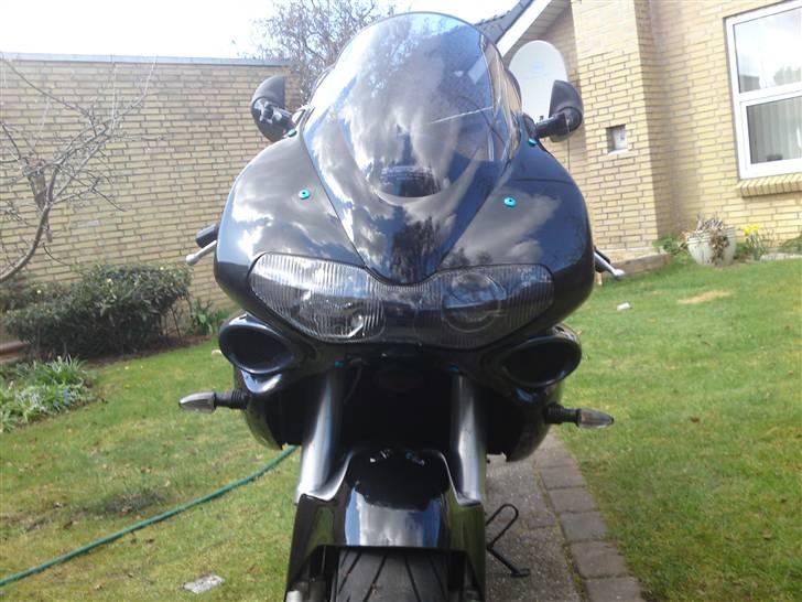 Suzuki TL 1000 S billede 2