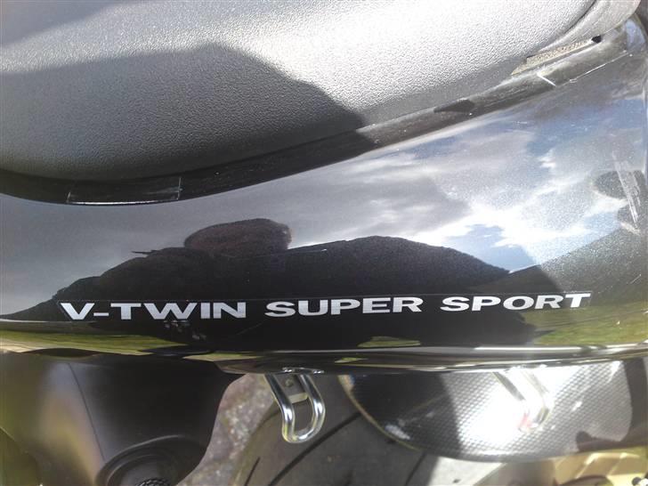 Suzuki TL 1000 S billede 5