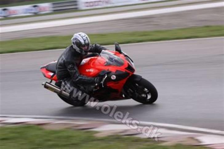 Aprilia RSV MILLE billede 7