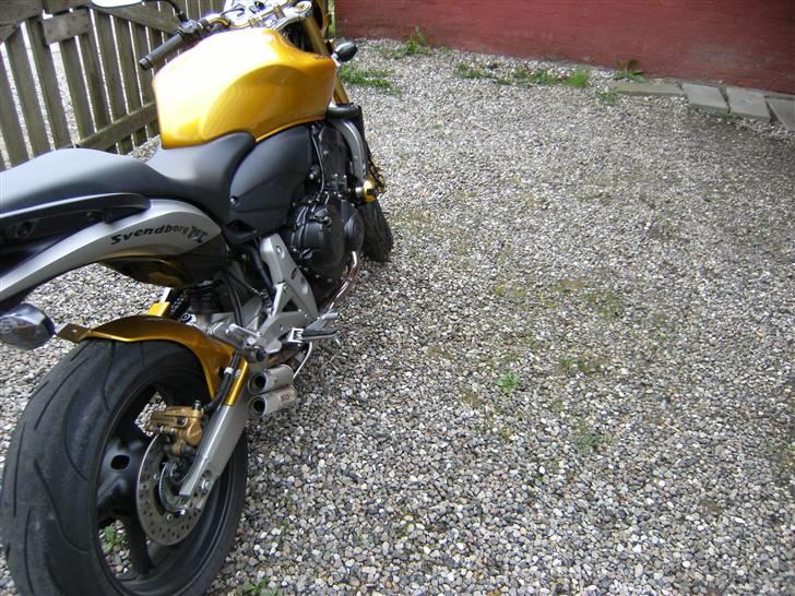 Honda CB 600 Hornet billede 3