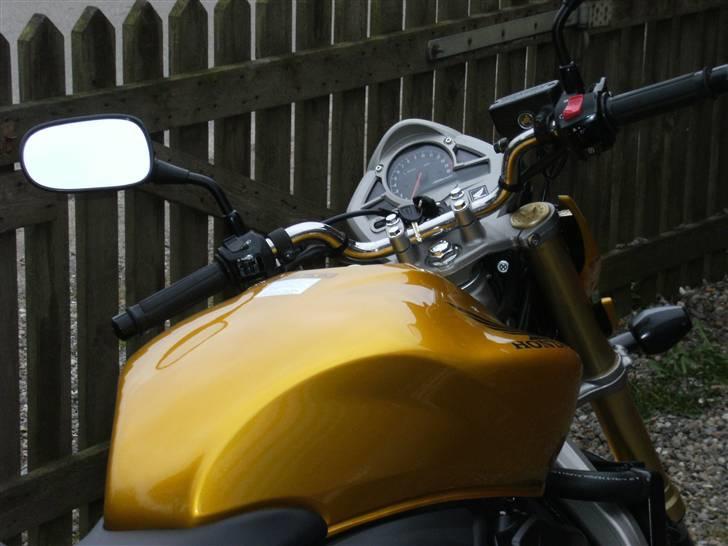 Honda CB 600 Hornet billede 7