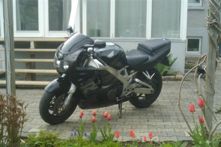 Honda CBR 900 RR billede 6