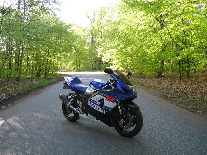 Suzuki GSX-R 750 Jubilæums Model billede 1