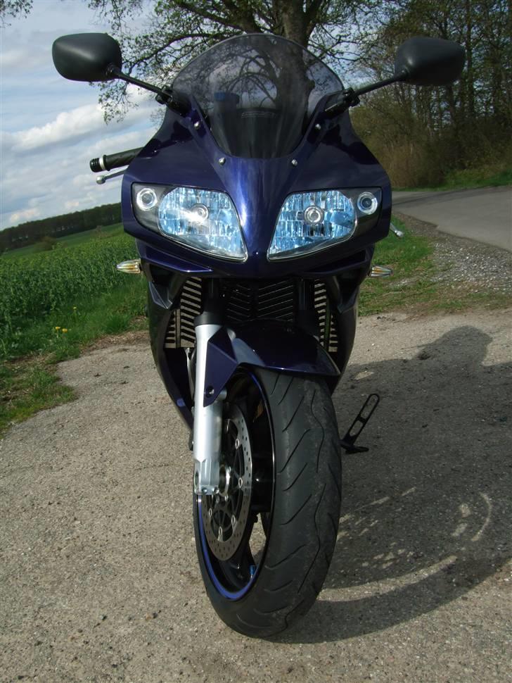 Suzuki SV1000S billede 4