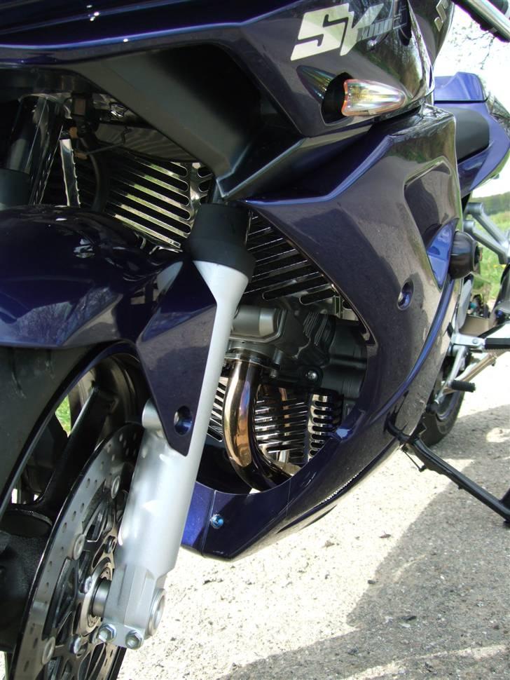 Suzuki SV1000S billede 5