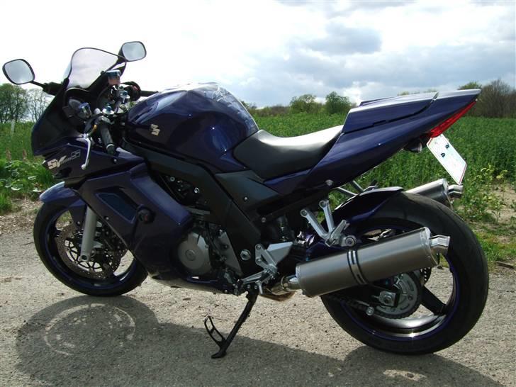 Suzuki SV1000S billede 7