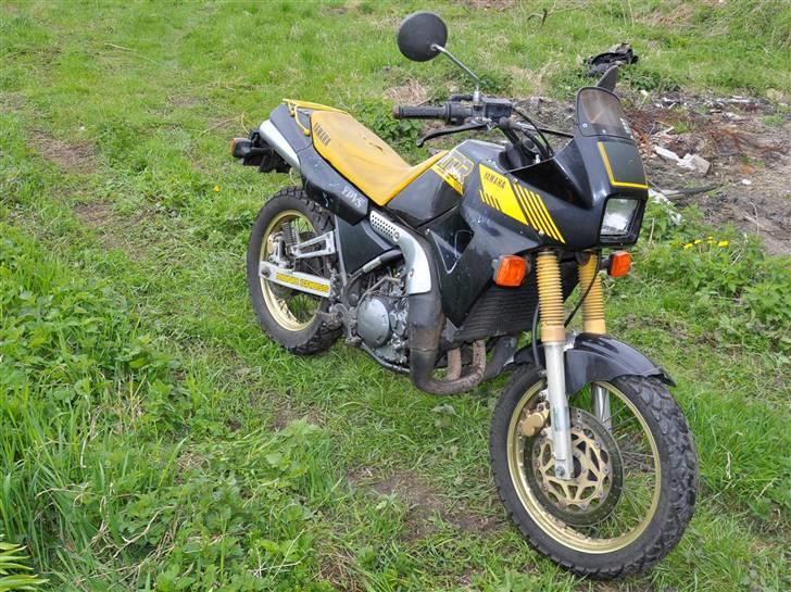 Yamaha TDR 250 billede 1