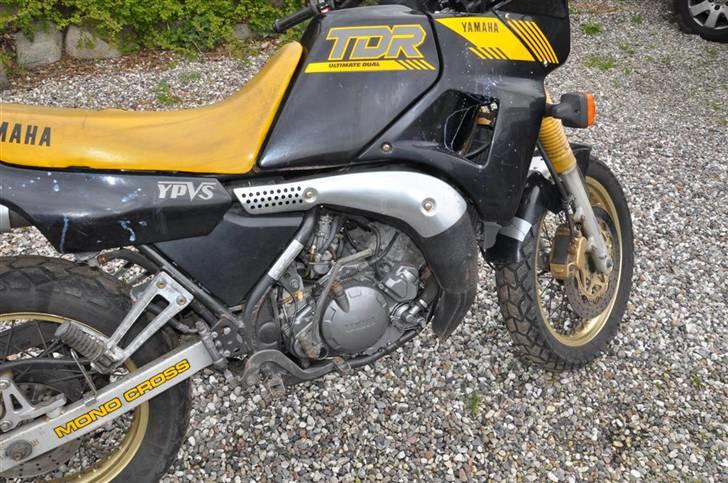 Yamaha TDR 250 billede 2