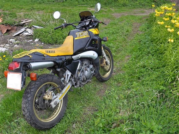 Yamaha TDR 250 billede 3