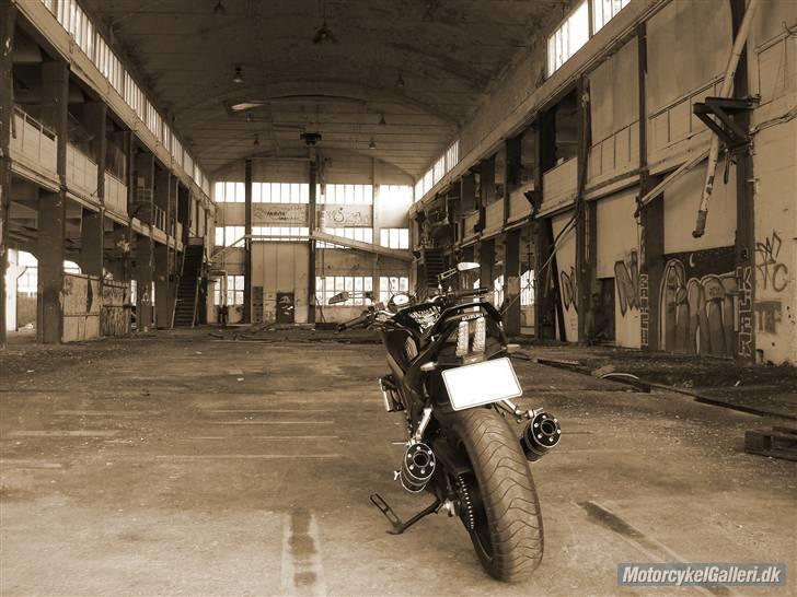 Suzuki SV1000N (K7) billede 10