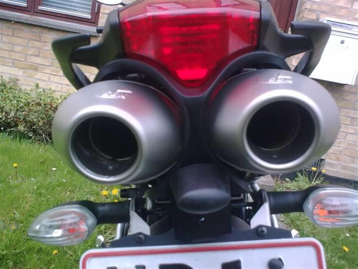 Yamaha FZ6-N *SOLGT - Her uden DB killer. Larmer en lille smule, hehe billede 15