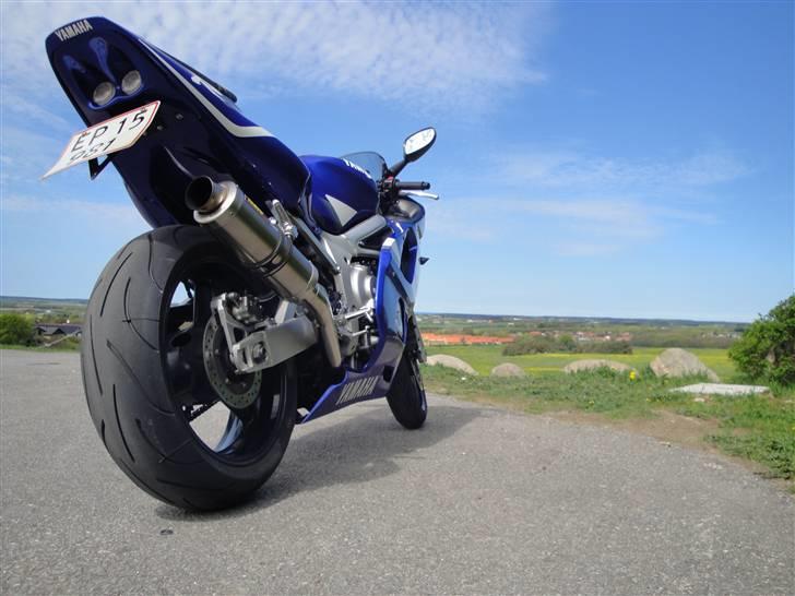 Yamaha yzf r6 redbull billede 16