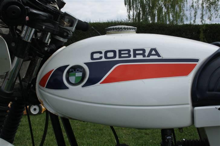 Puch Cobra billede 2