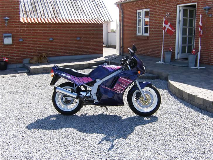 Suzuki gs 500 e billede 16