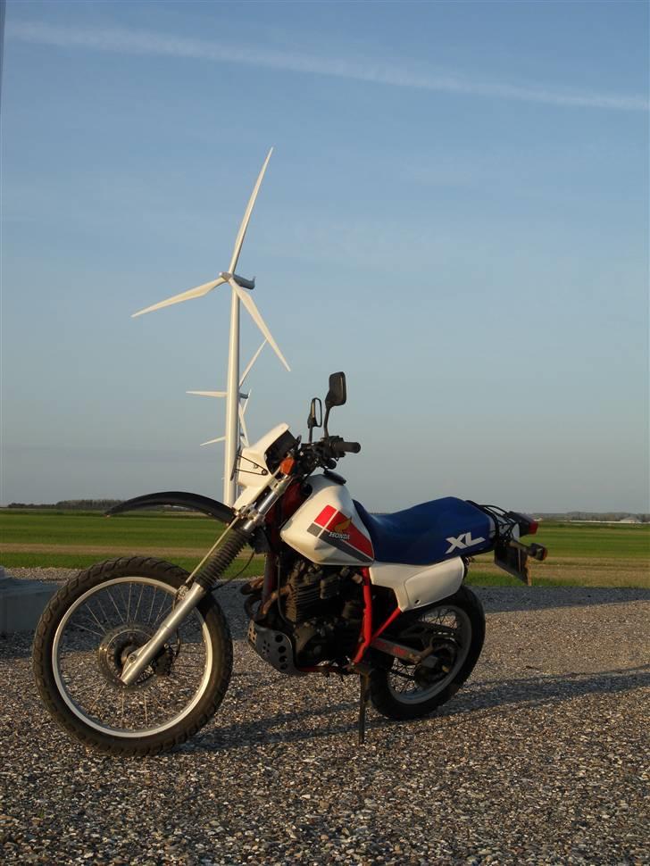 Honda XL 600 R billede 1