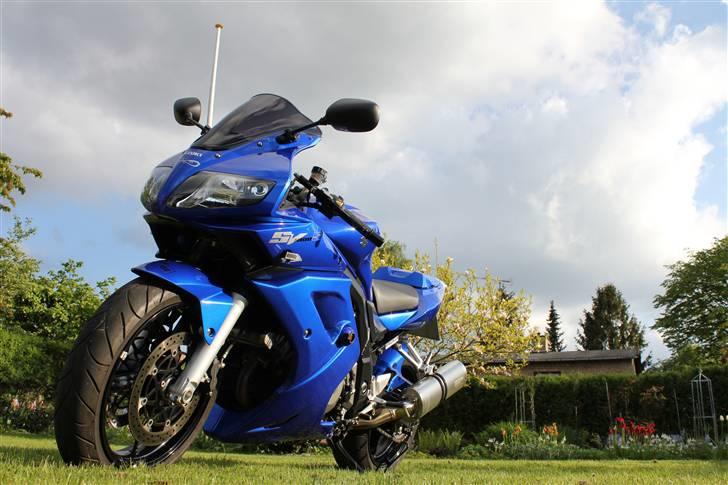 Suzuki sv1000s - DØD billede 4