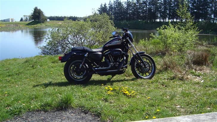 Harley Davidson sportster 883R billede 8