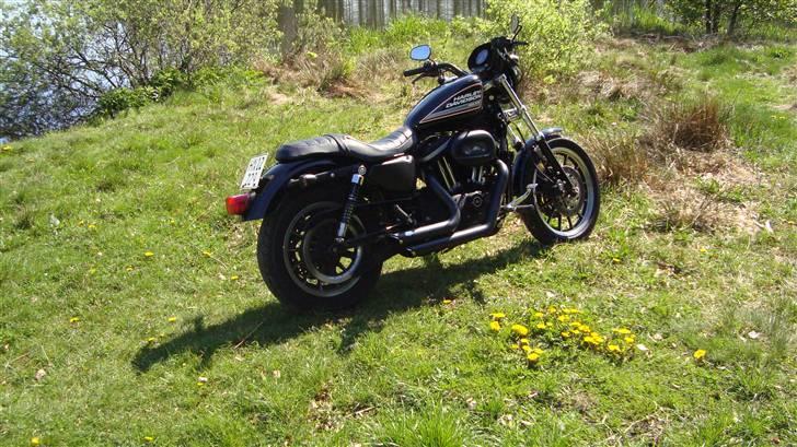 Harley Davidson sportster 883R billede 9