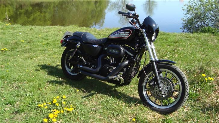 Harley Davidson sportster 883R billede 10