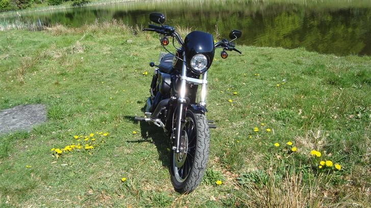 Harley Davidson sportster 883R billede 11