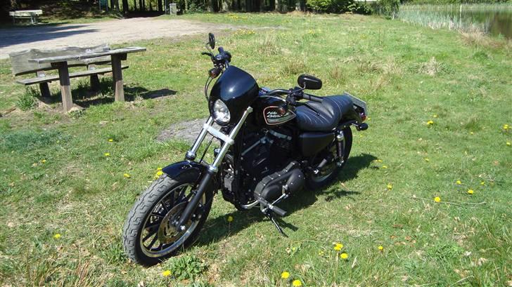 Harley Davidson sportster 883R billede 12