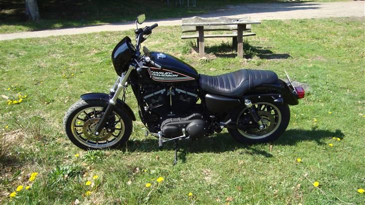 Harley Davidson sportster 883R billede 13