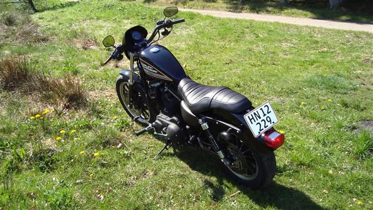 Harley Davidson sportster 883R billede 14