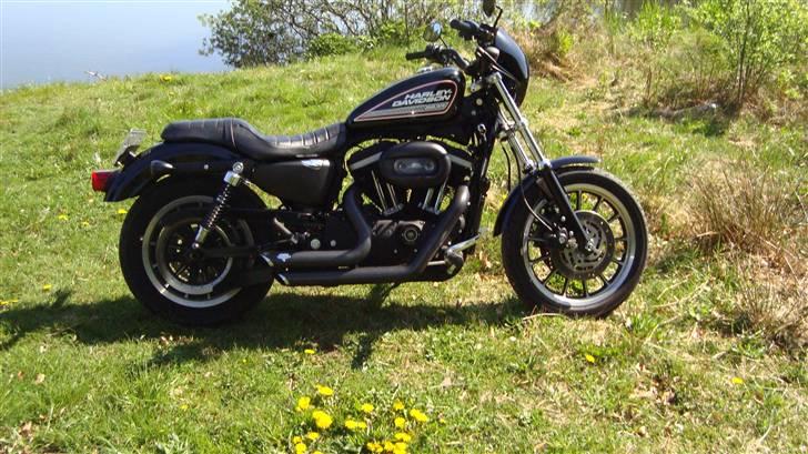 Harley Davidson sportster 883R billede 16