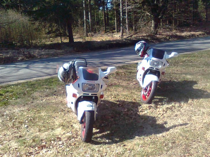 Honda CBR 600 f1 billede 10
