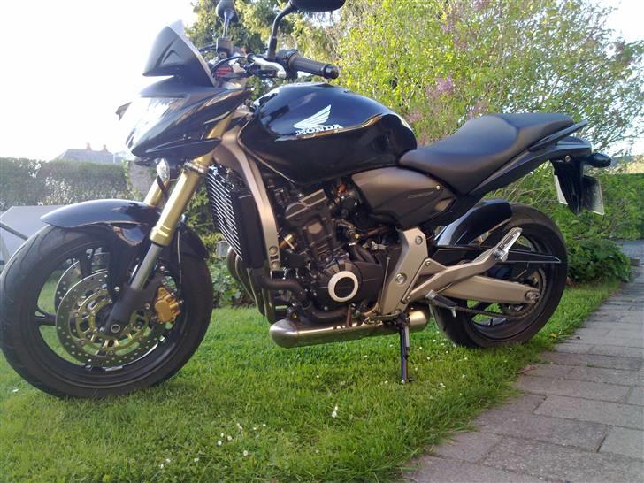 Honda CB 600 Hornet  billede 5