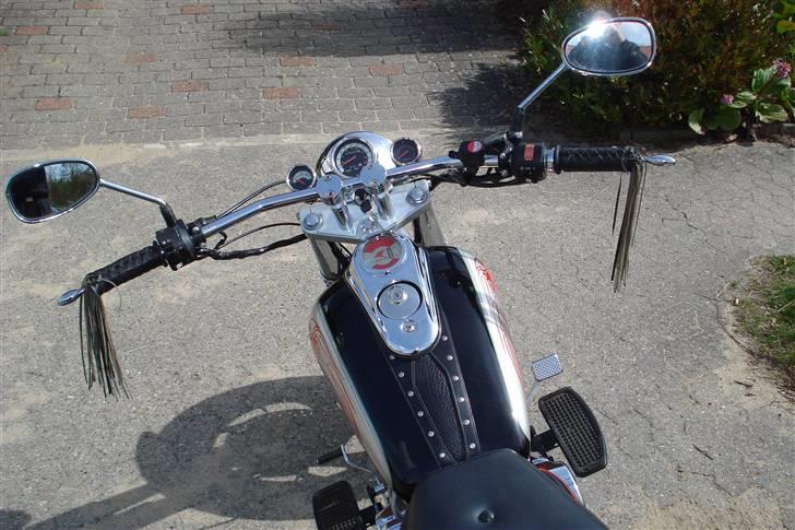 Jinlun hd 250 billede 2