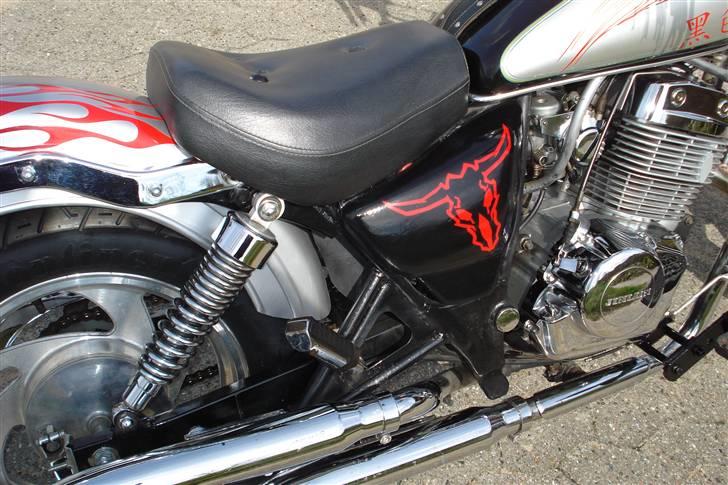 Jinlun hd 250 billede 4