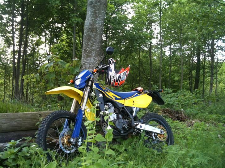 Husqvarna TE 450 - Husky bruger jeg af og til at holde træer oprejst! billede 1