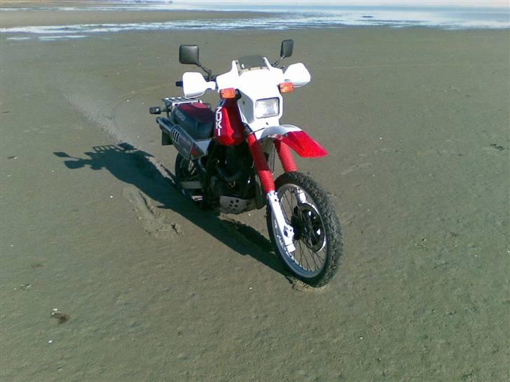 Suzuki DR 650 R billede 3