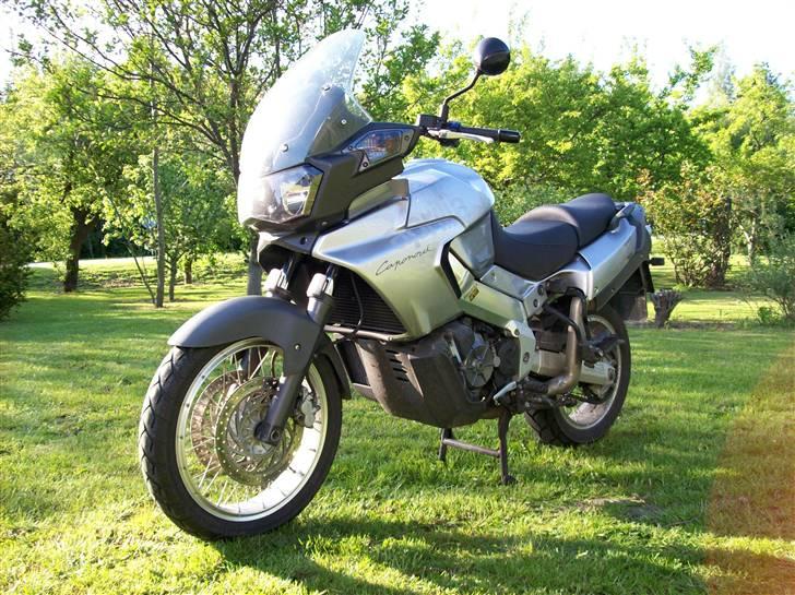 Aprilia ETV 1000 Caponord billede 2