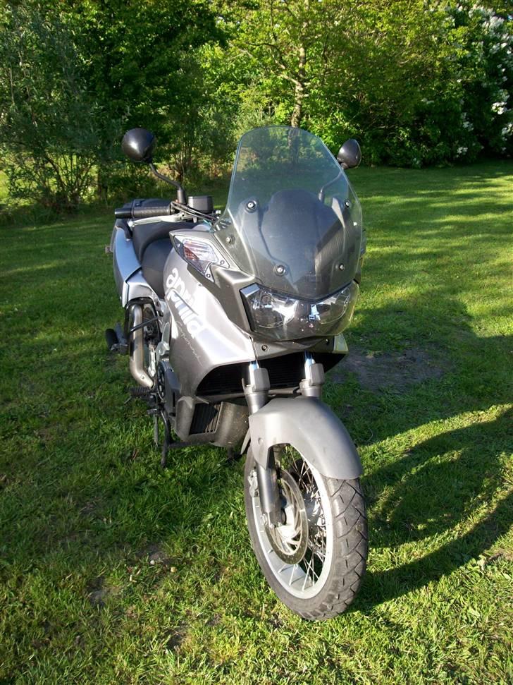 Aprilia ETV 1000 Caponord billede 4